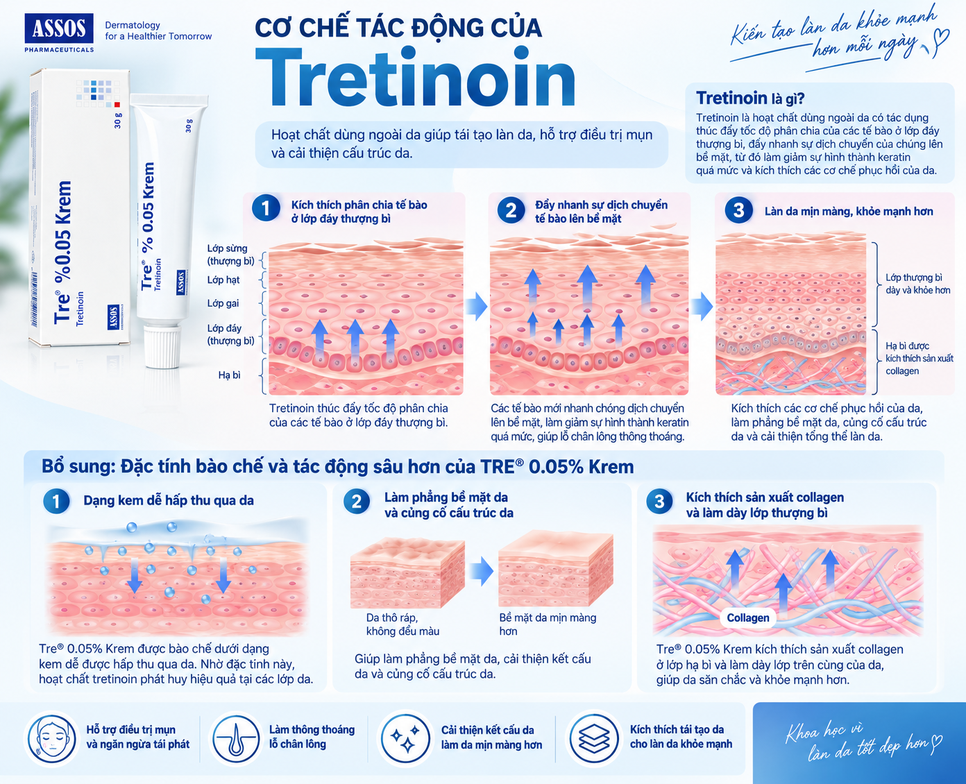 cơ chế tác động của Tretinoin